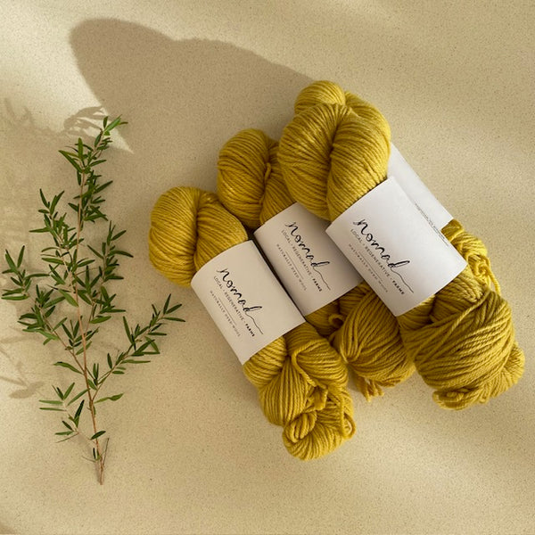 Nomad Yarns : Botanically Dyed 8ply Polworth