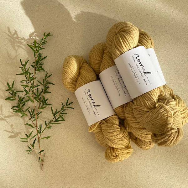 Nomad Yarns : Botanically Dyed 8ply Polworth