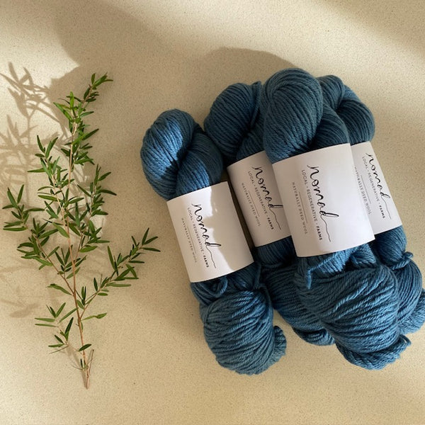 Nomad Yarns : Botanically Dyed 8ply Polworth