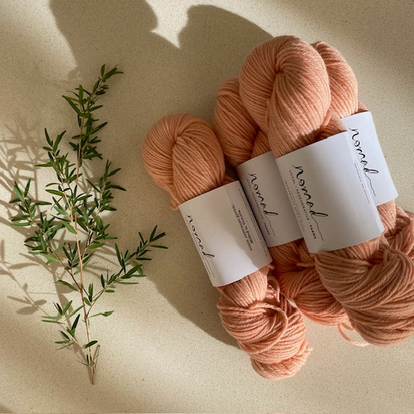 Nomad Yarns : Botanically Dyed 8ply Polworth